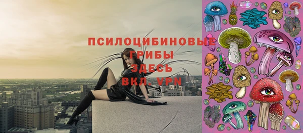 альфа пвп Нея