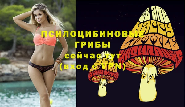 альфа пвп Нея