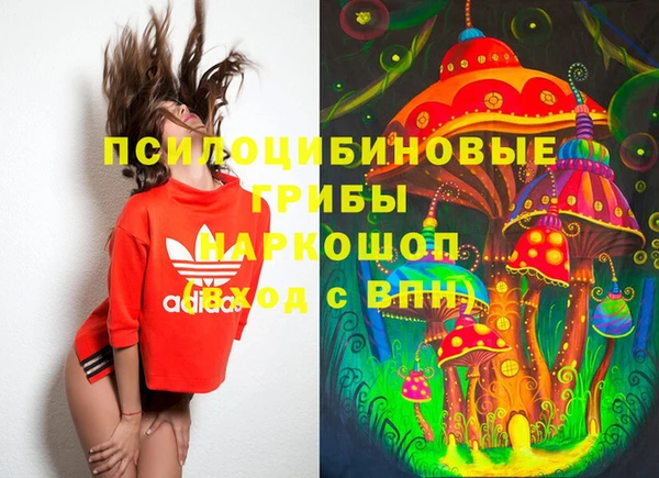 альфа пвп Нея