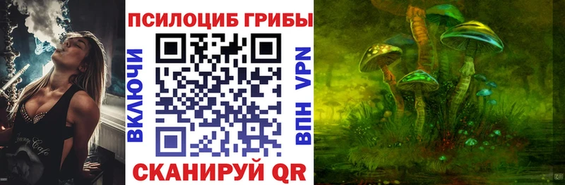 Псилоцибиновые грибы Psilocybe Морозовск