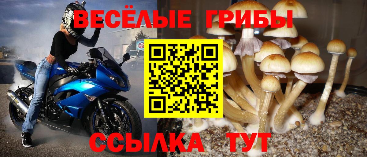 Морозовск  купить наркоту  Галлюциногенные грибы MAGIC MUSHROOMS  Вход с VPN  Псилоцибиновые грибы Magic Shrooms 