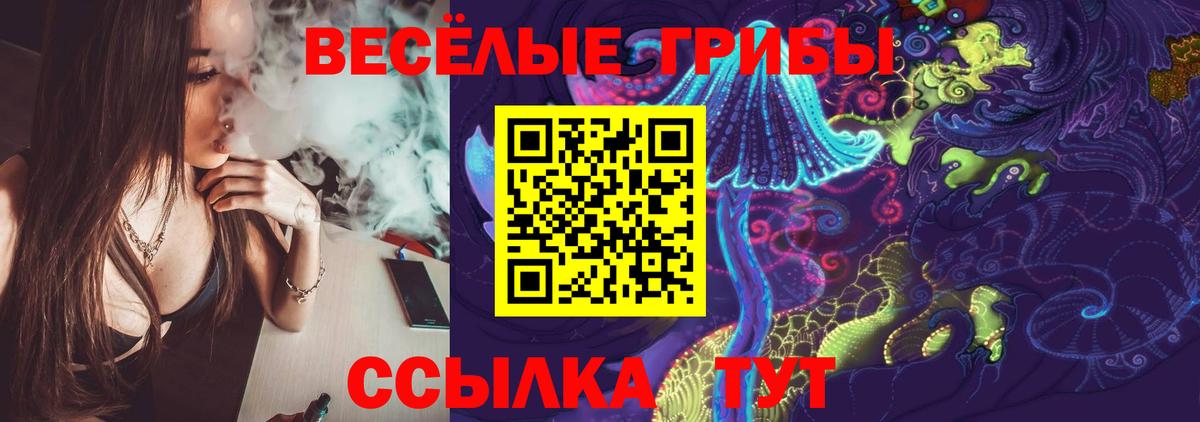 Галлюциногенные грибы Cubensis  Морозовск 